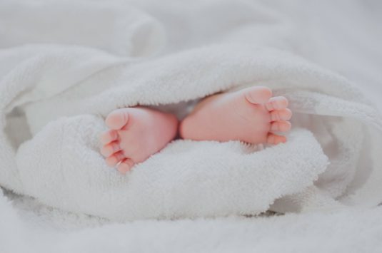 Surrogacy