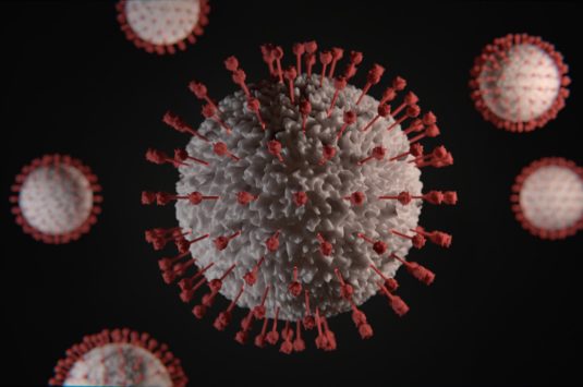 The coronavirus molecule