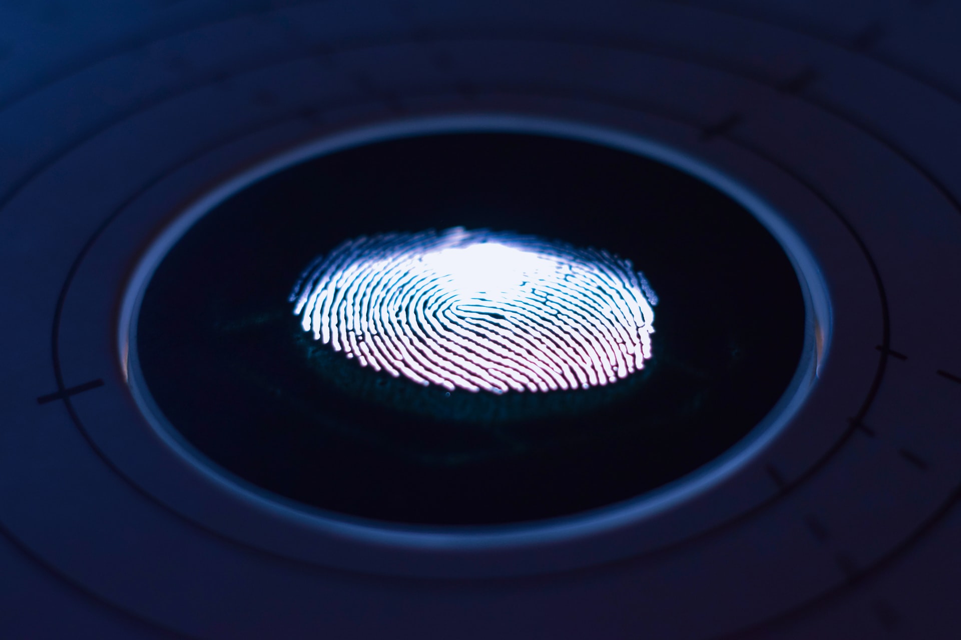 A neon fingerprint, representing a pause on the requirement for biometrics for those applying for immigration status within Canada